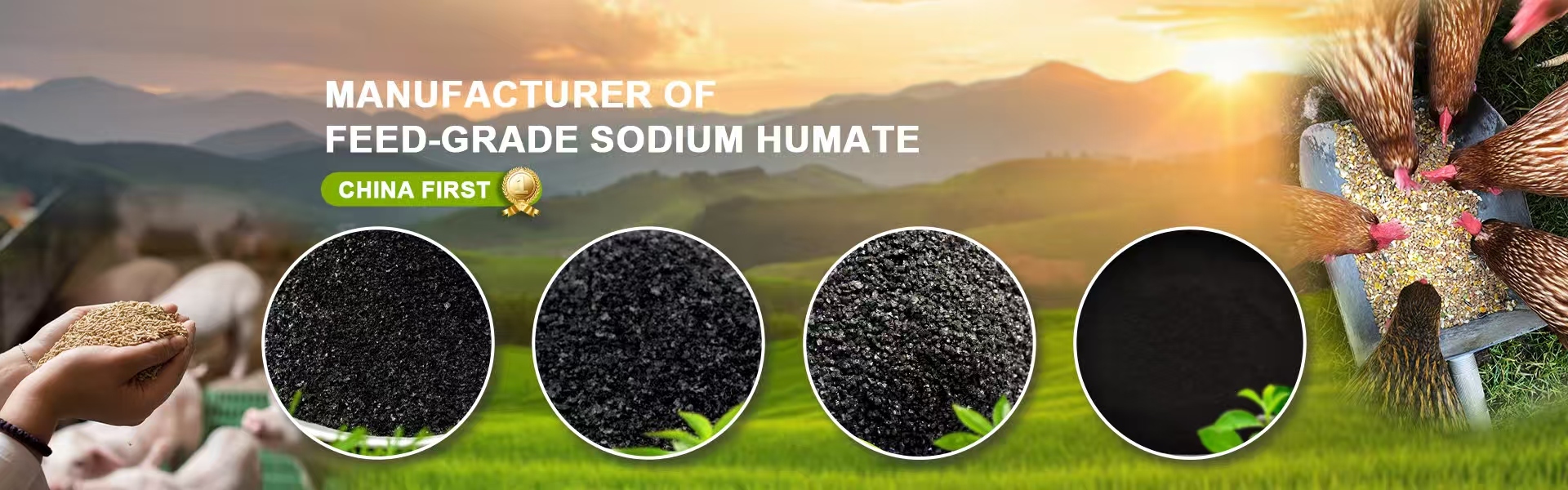 quality Sodium Humate factory