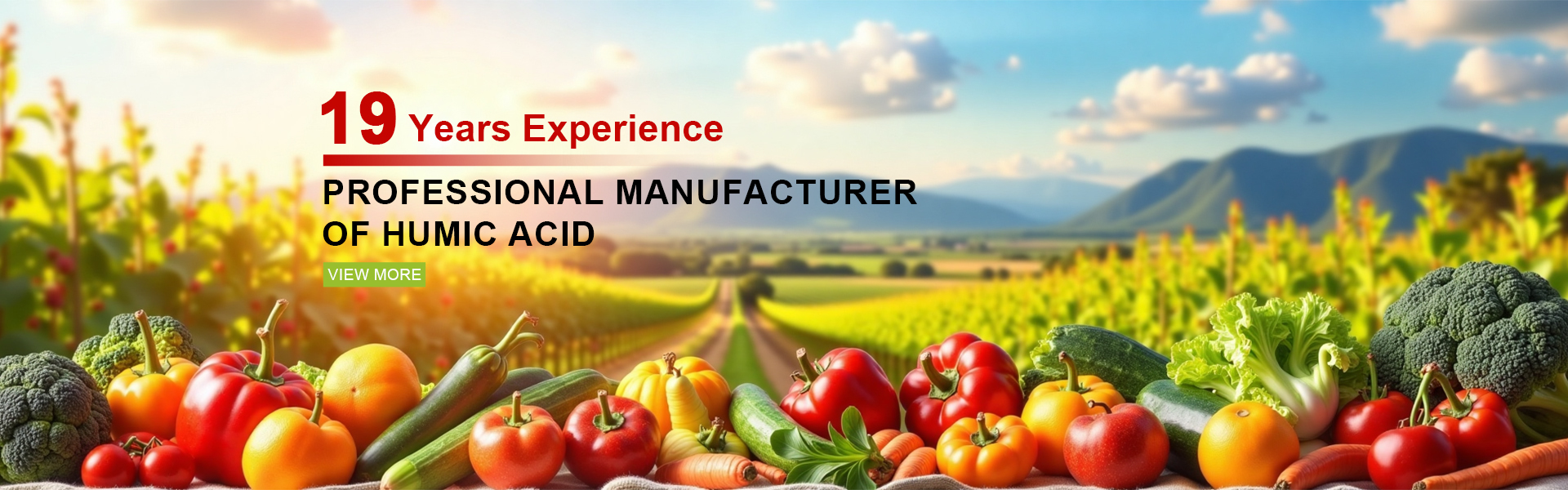 quality Sodium Humate factory