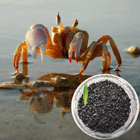 calidad Ácido húmico soluble en sodio 40% en polvo / escamas para aditivos alimenticios para acuicultura fábrica